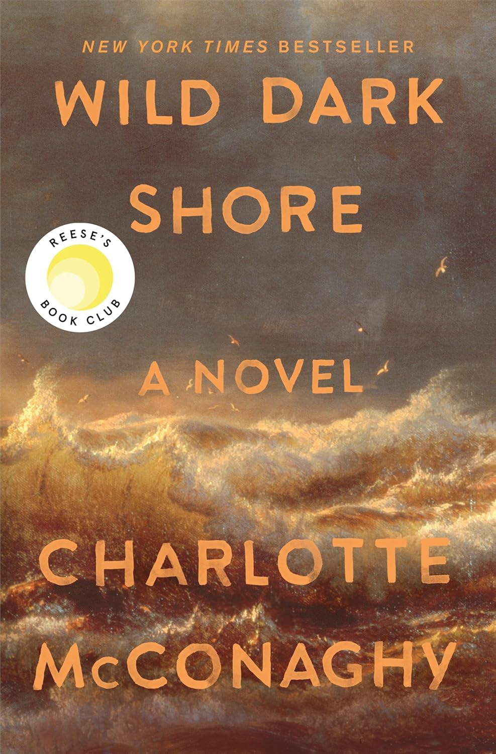 The Wilderness and Family Secrets: Wild Dark&nbsp;Shore